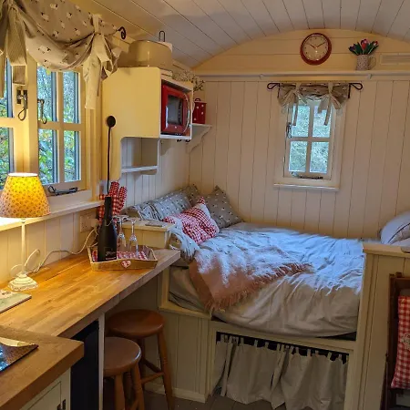 Hut In The Glade, Shepherds Hut With Hot Tub Chalet *